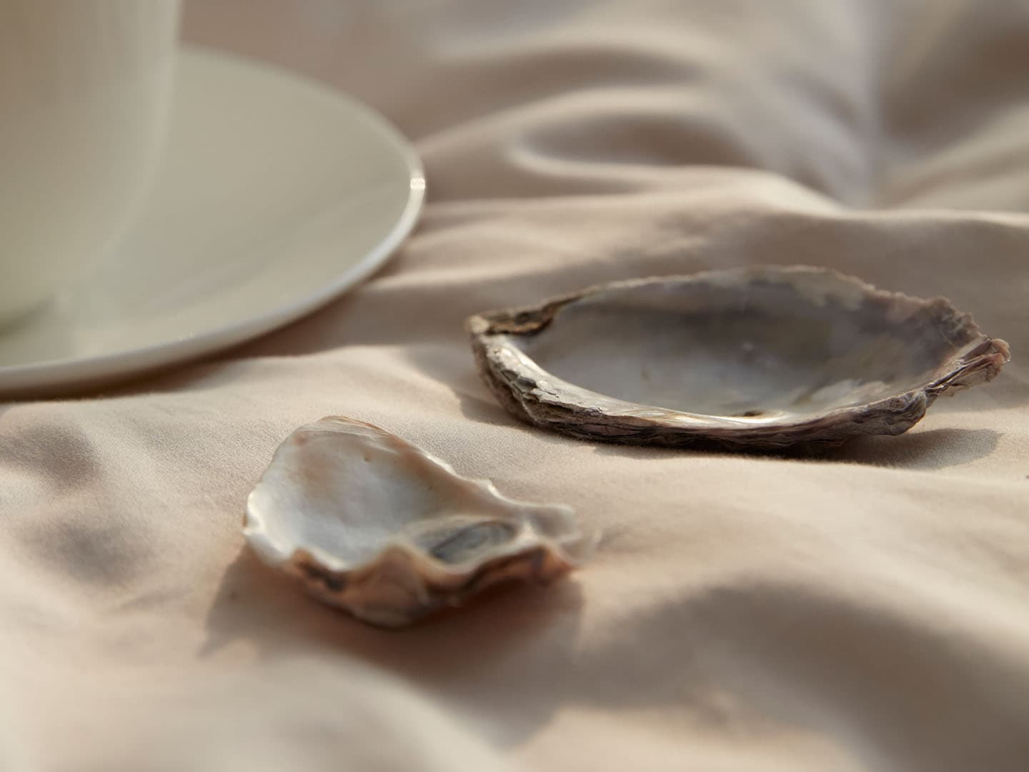 Kissenbezug Vidd - Seashell Beige