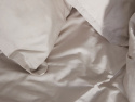 Laken Lind - Seashell Beige