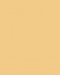 Handtuch Essens - Honey Yellow Handtuch Essens - Honey Yellow